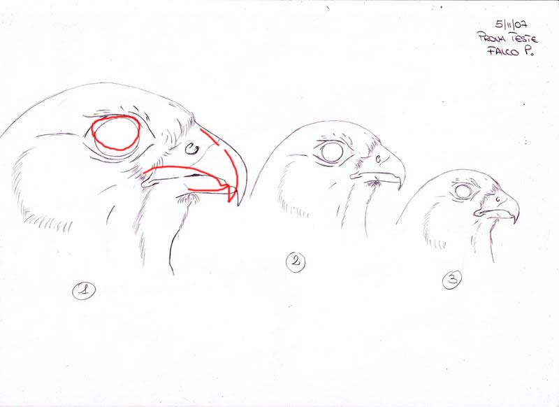 Disegnare gli uccelli - Prima lezione